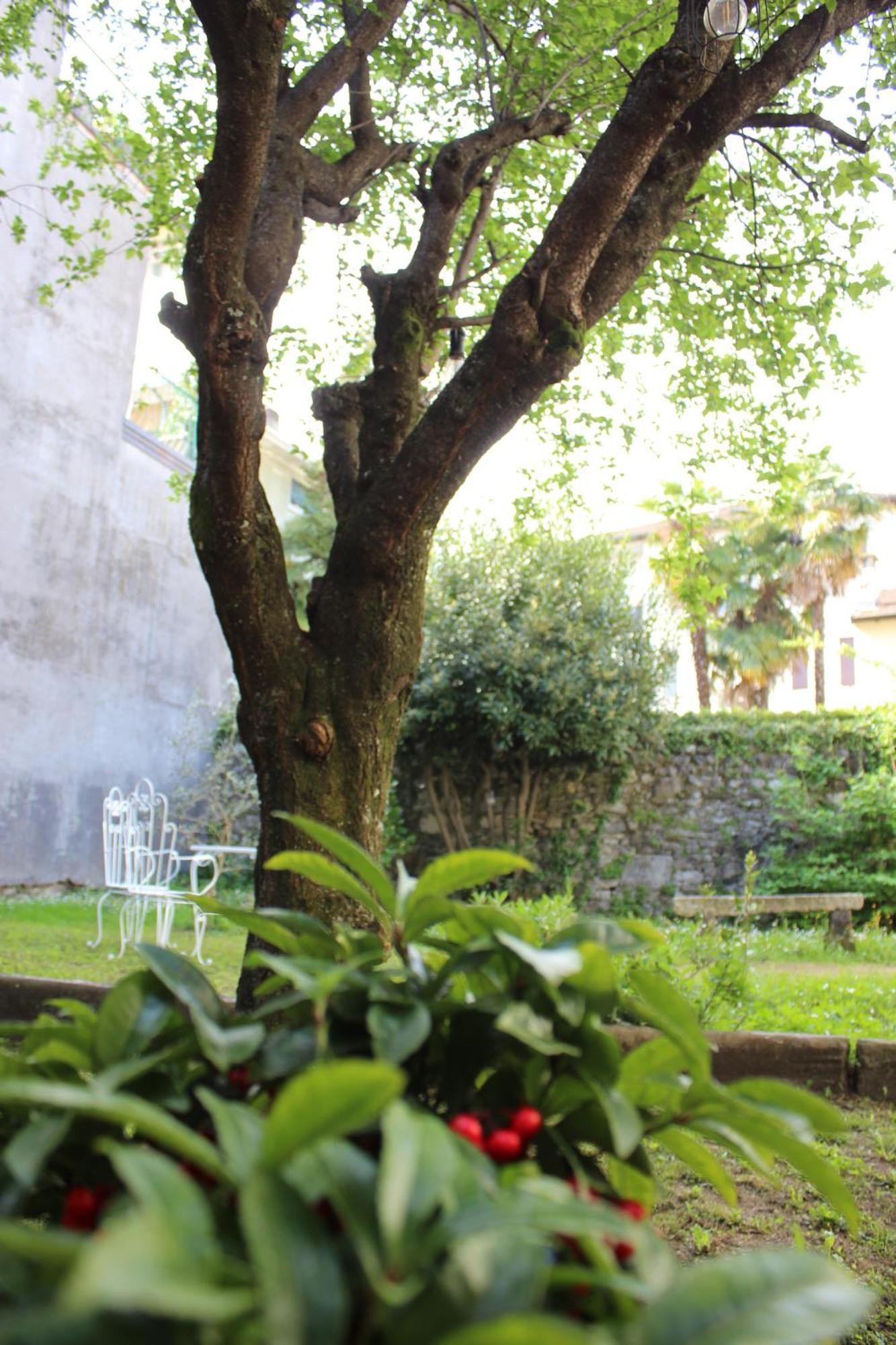 La Casa Di Tita Stresa Daire Dış mekan fotoğraf